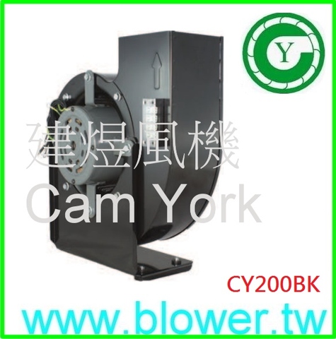 CY200BK24P38V-M