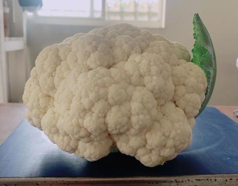 Hybrid White Curd Cauliflower Seed