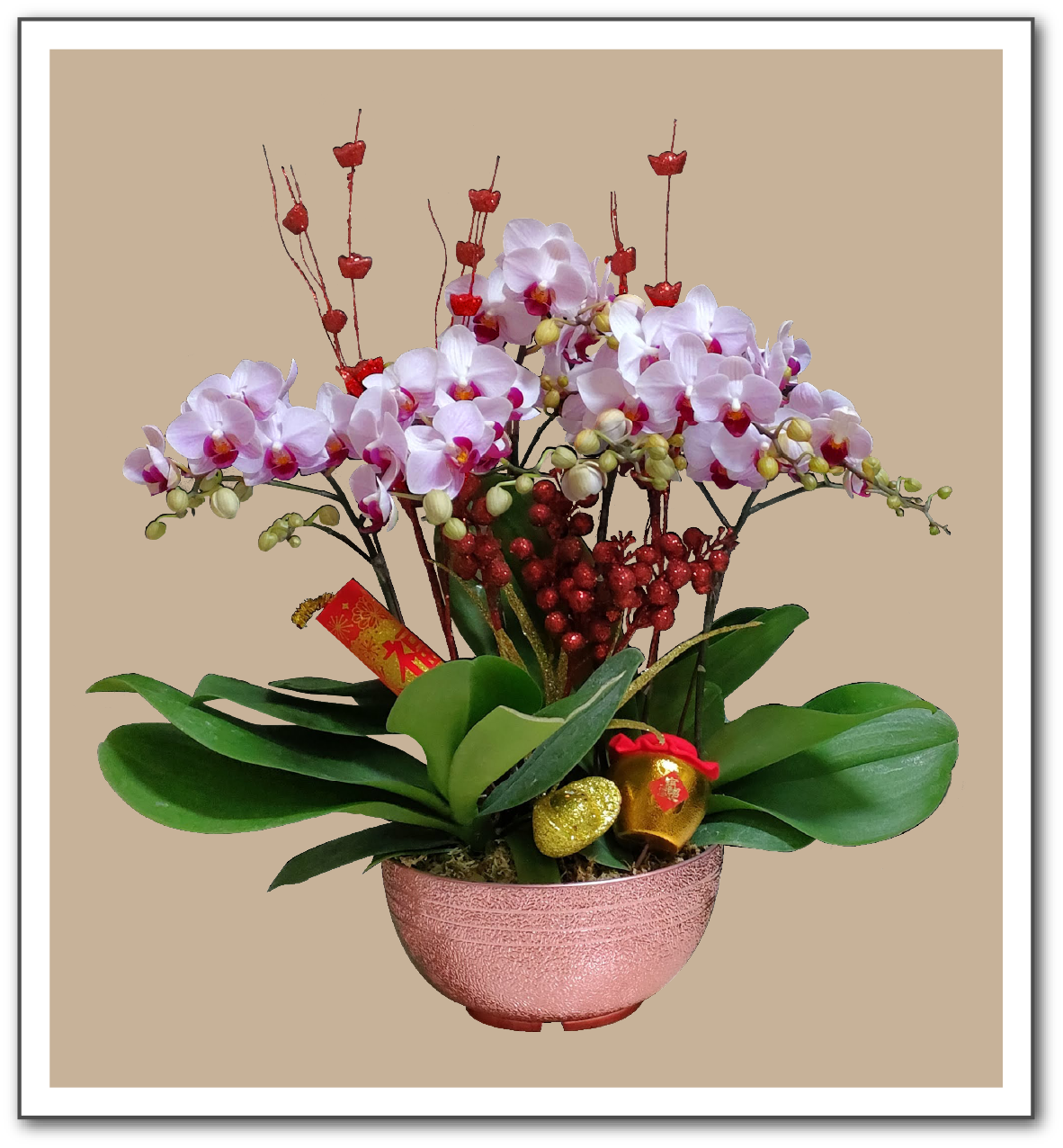 Lunar New Year phalaenopsis orchid arrangement with festive decorations in a metallic rose gold ABS floral bowl – lightweight, durable, decorative plastic container for events, retail displays, and home décor.