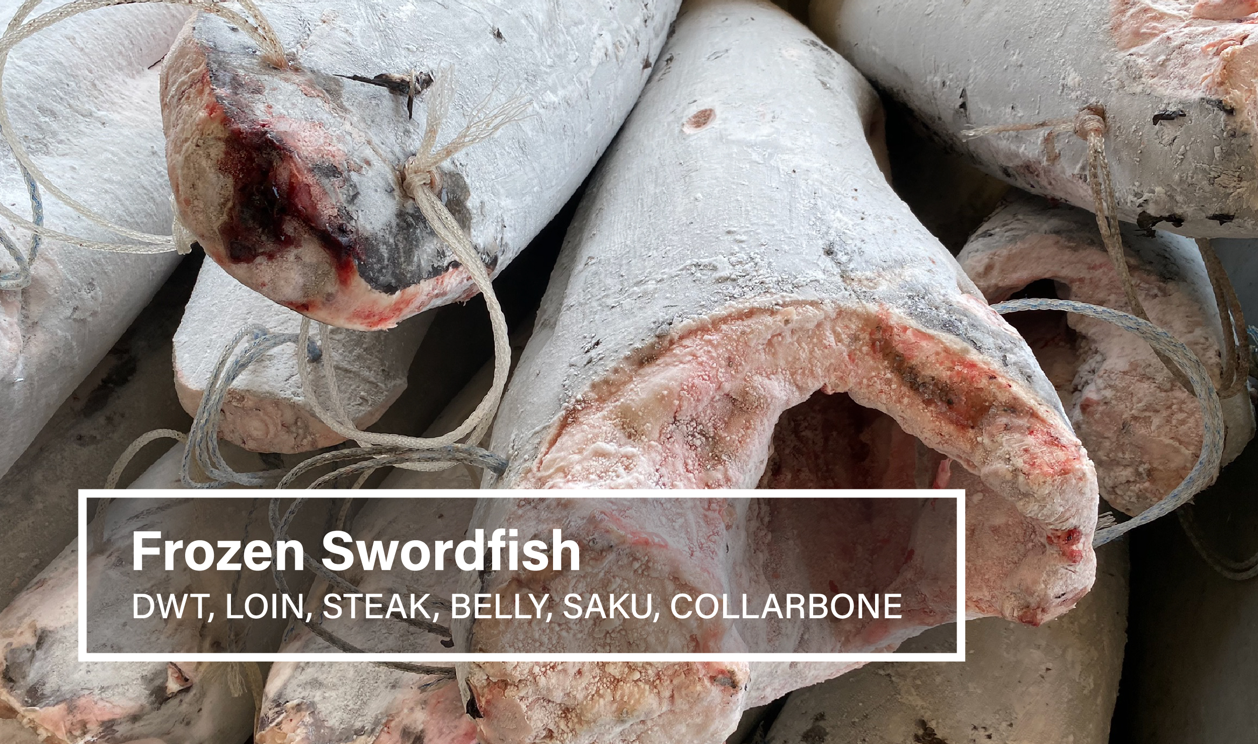 Frozen Swordfish DWT, HGT, Processed,Wholesale CHUN SUCCESS