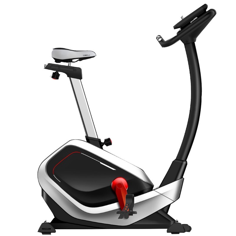 magnetic bike big w