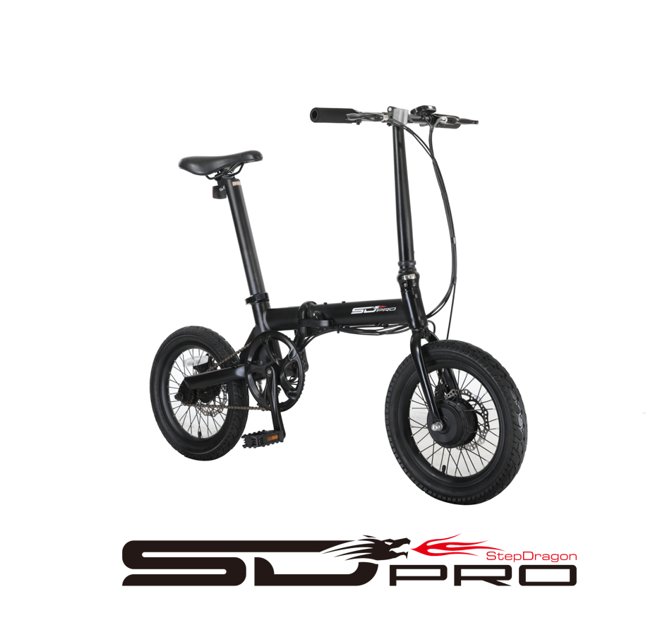 Taiwan 16" Folding E Bike