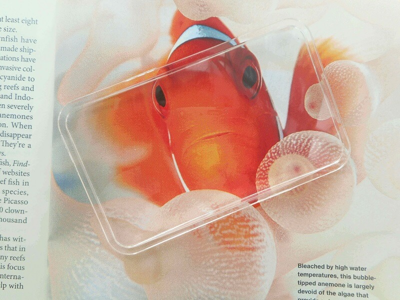 Rectangle Optical Biconvex Magnifying Lens