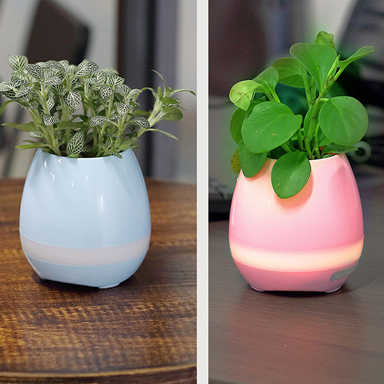 bluetooth flower