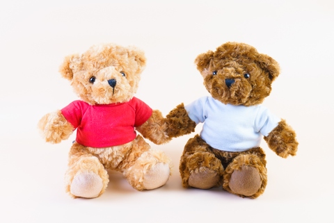 Teddy Bear w/T-Shirt