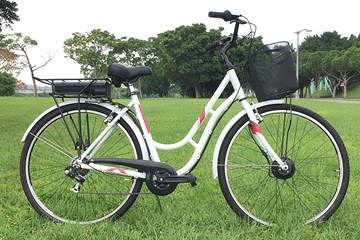 pedelec bike