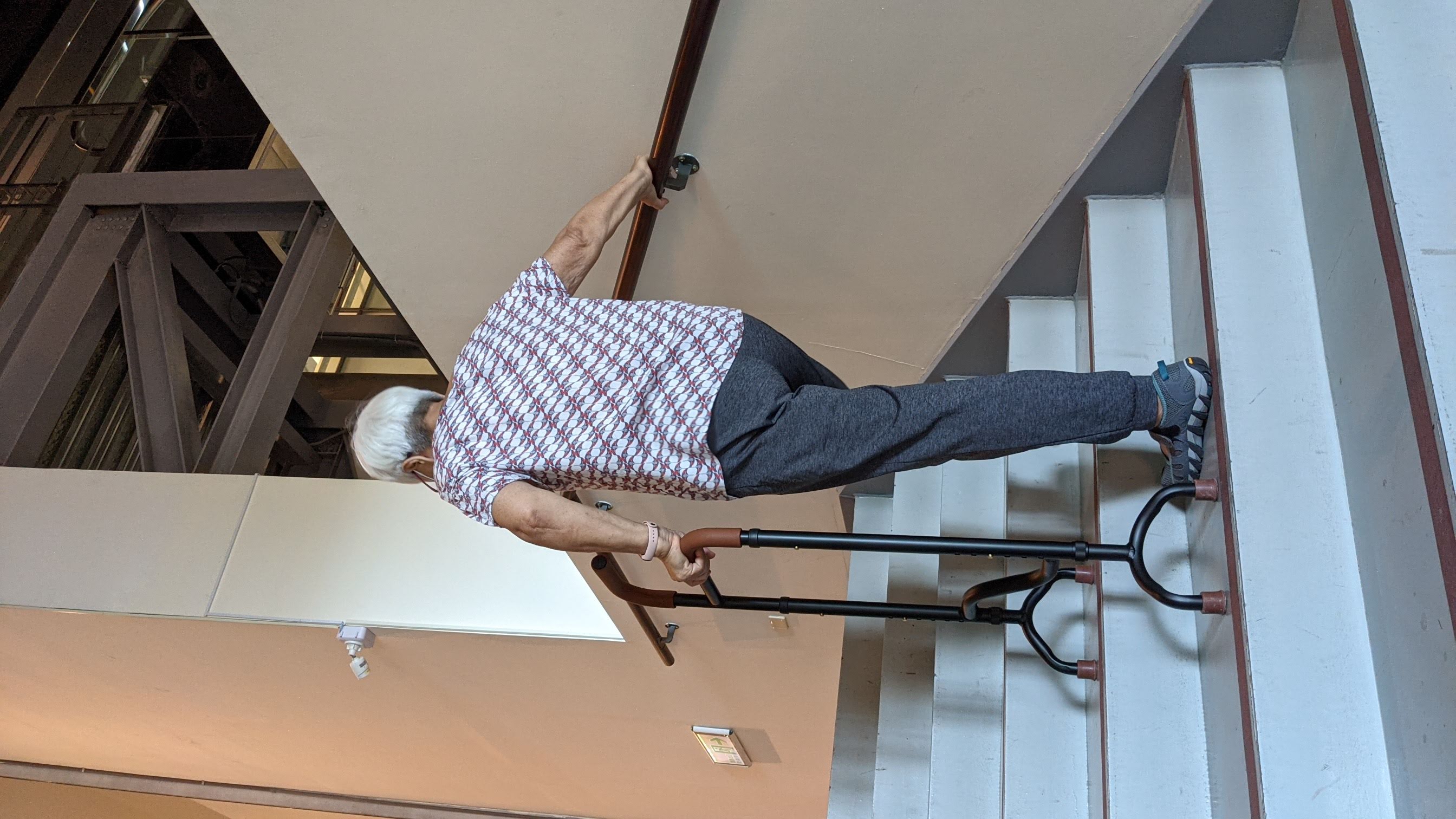 Stair Assist Cane - Assistive Senior Walking Cane | Taiwantrade.com