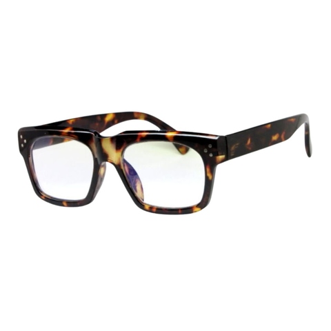 Reading Glasses with spring hinge temple _ R-0738