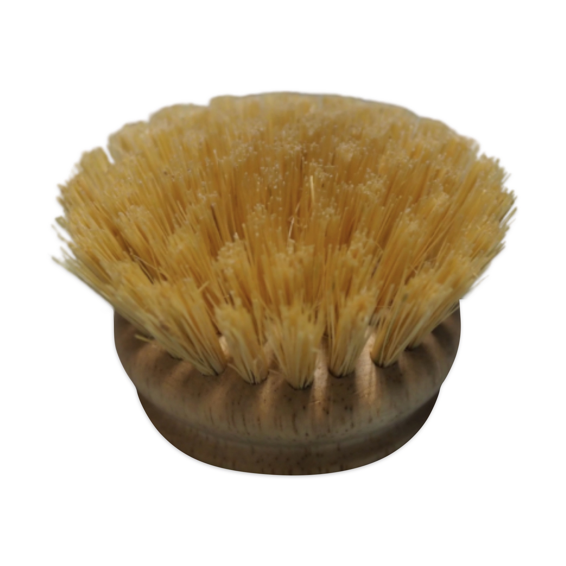 Natural Fiber Fruit and Vegetable Brush, Kitchen Brush