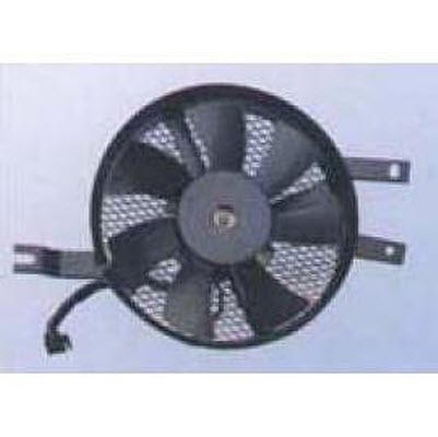 Fan Motor