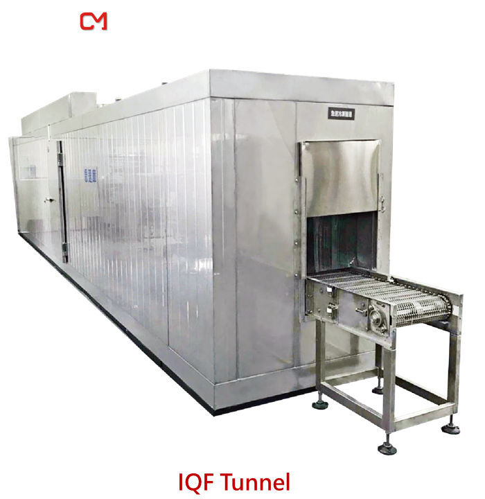 Tunnel Type Fruit Drying Machine Multifunction Use