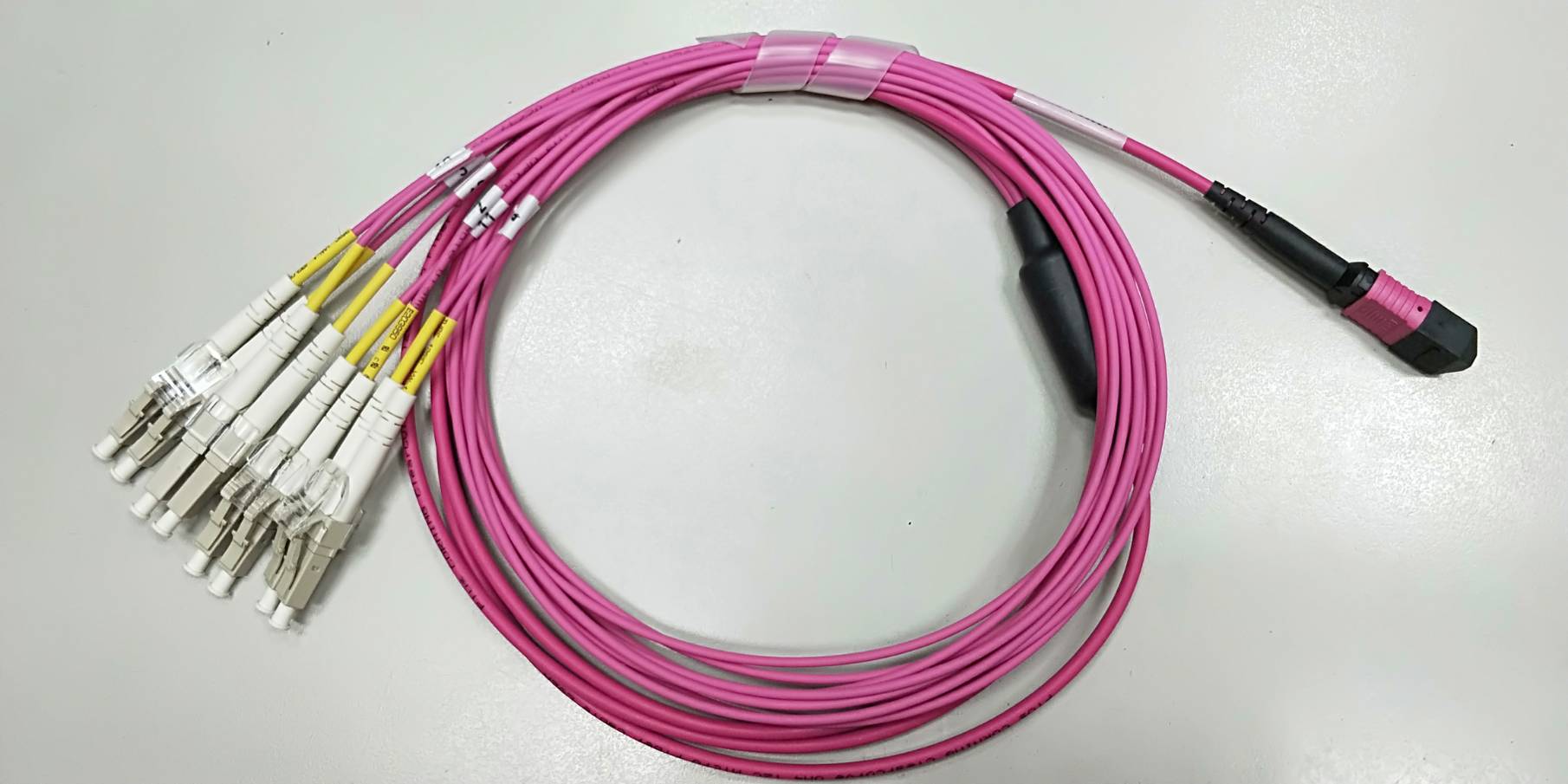 Fiber Mpo Lc Fanout Cable Om Magenta Taiwantrade