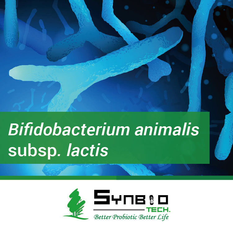 Bifidobacterium Animalis Subsp. Lactis , High Potency Probiotics For ...