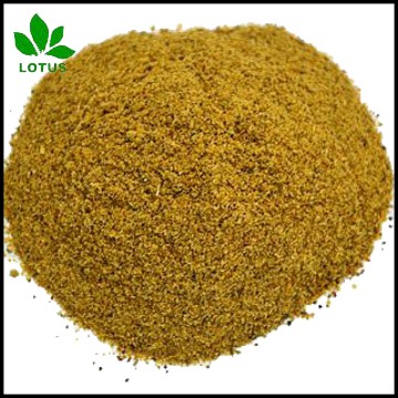 feather meal FOR animal feed or organic Fertilizer