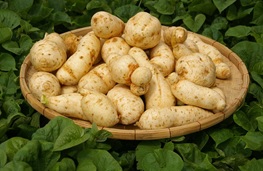 healthy food supplier - White Sweet Potato