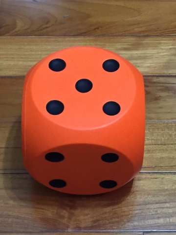 6 inch PU Dice