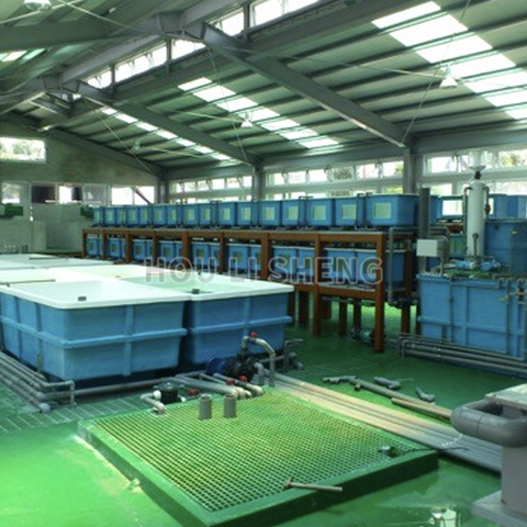 Recirculating Aquaculture Fish Tank System