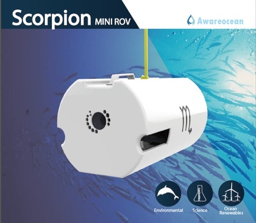 Scorpion: Mini ROV