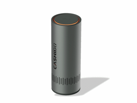 Mini Ozone Air Purifier