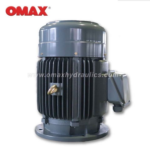 IE3 Premium Efficiency Totally Enclosed Induction Drive Motor