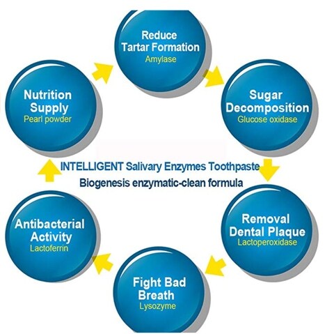 enzymes in toothpaste
