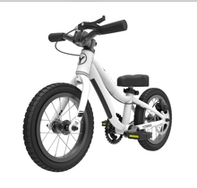 kidz bike