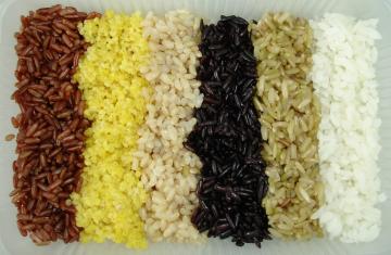 Wu Xing Rice