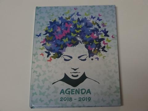 Agenda