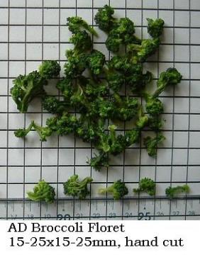 air dried broccoli floret, dehydrated broccoli floret