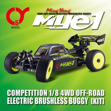 radio controlled buggy