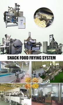 Snack Pellet Fry/Roast Processing