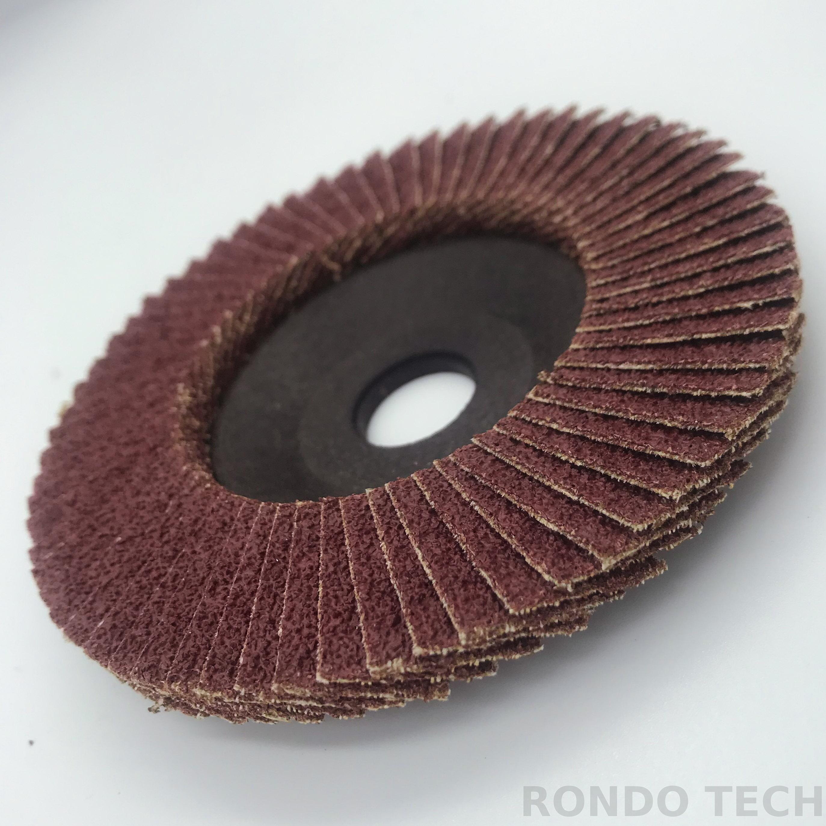 100x16mm Sanding Grinding Wheel Flap Disc