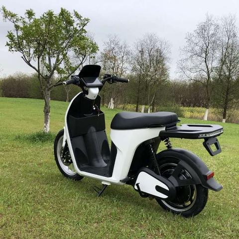 Logistic Electric Scooter