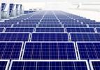 Green manufacturer