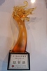 Business Start-Up Award