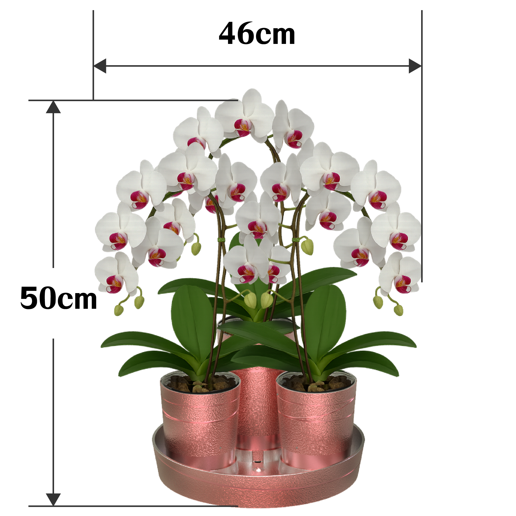 作品展示 10-組盆後，實際高度