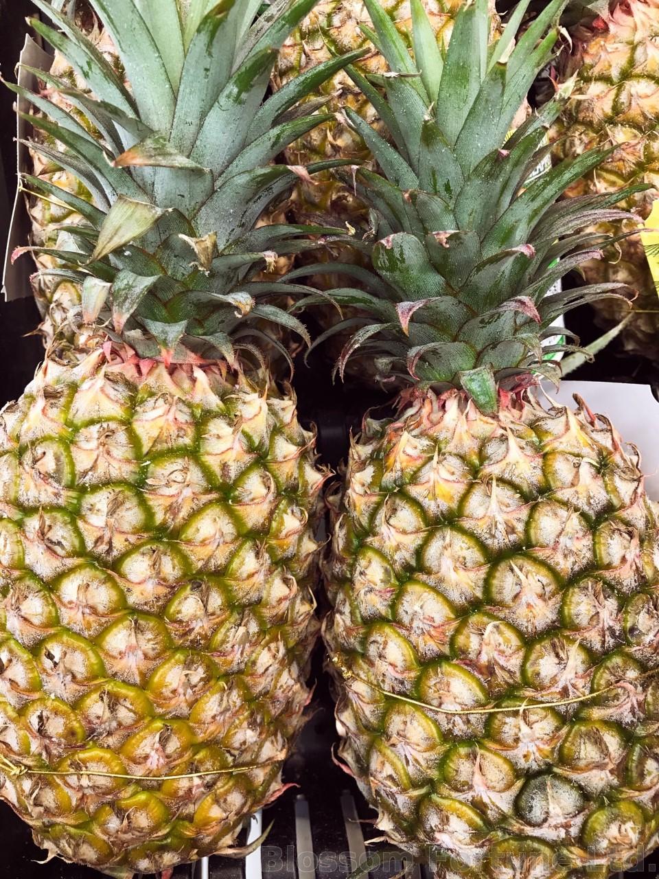 Fresh PIneapple