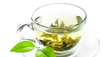 Green tea Extract