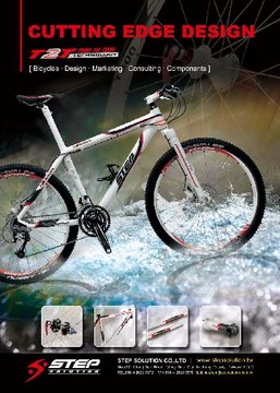 Mountain Bicycle