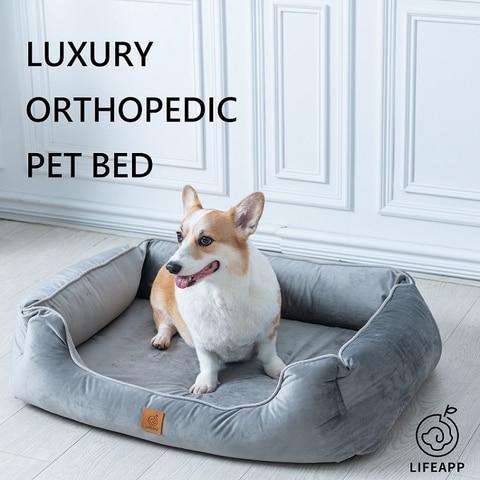 world market pet bed