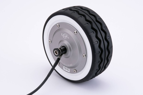 Hub BLDC Motor