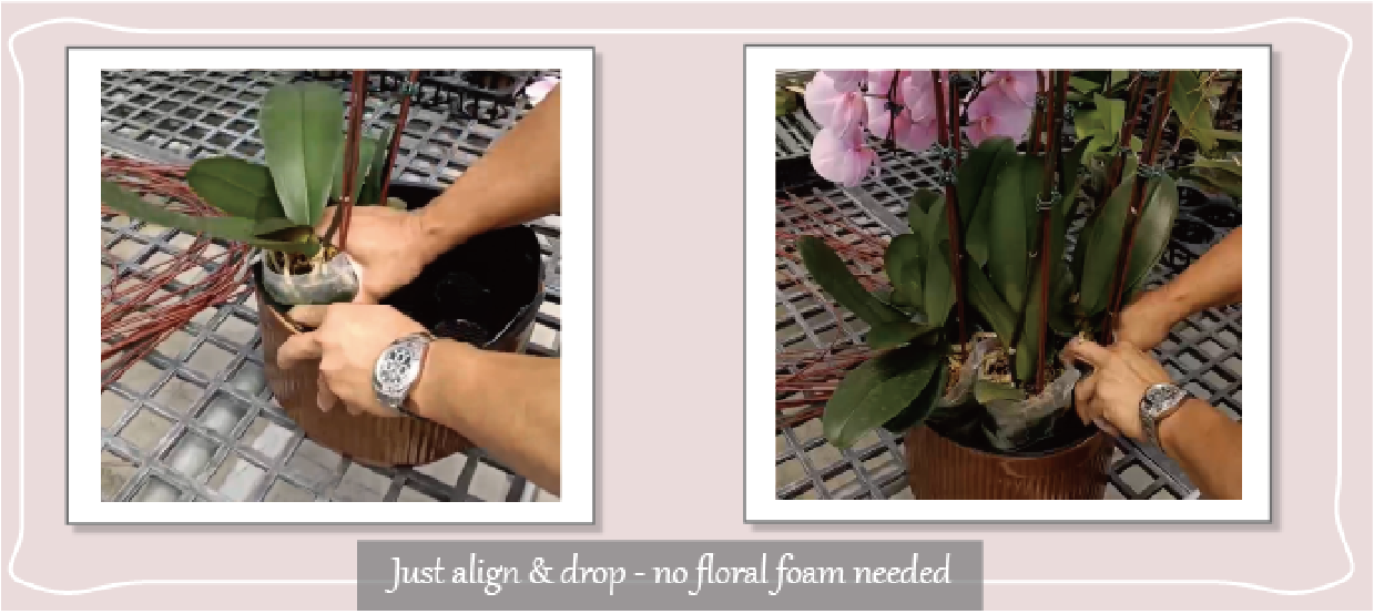 	Quick orchid potting without floral foam using pleated plastic planter