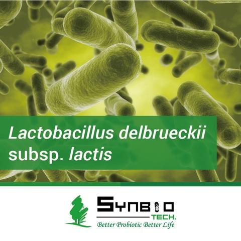 Lactobacillus Delbrueckii Subsp Lactis Probiotics Solution For Your Healthcare Synbio Tech Taiwantrade Com