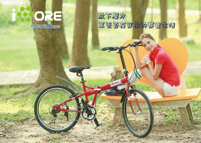 Folding Bike