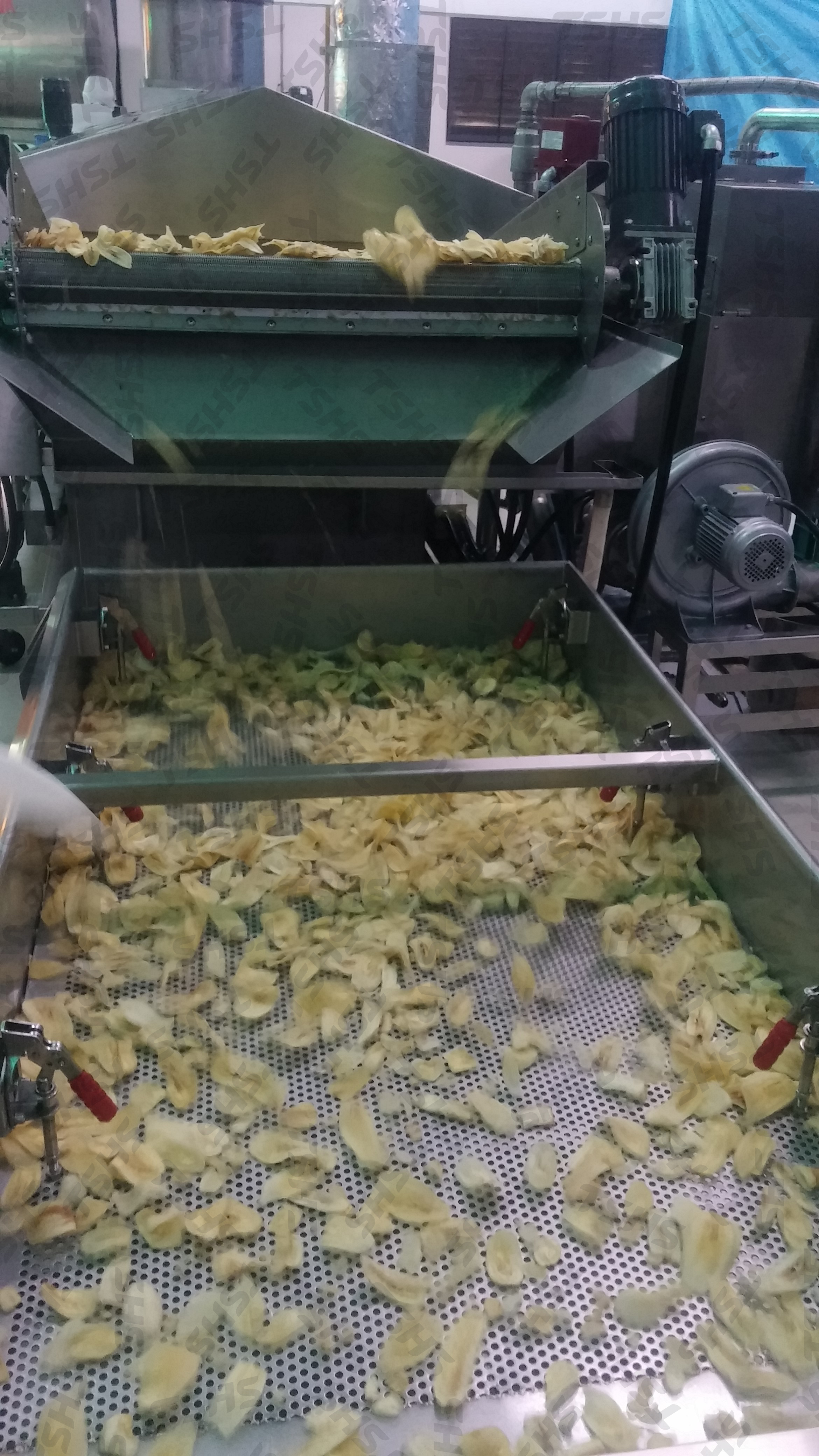 BANANA CHIPS PRODUCTION LINE | TSUNG HSING FOOD MACHINERY CO., LTD.