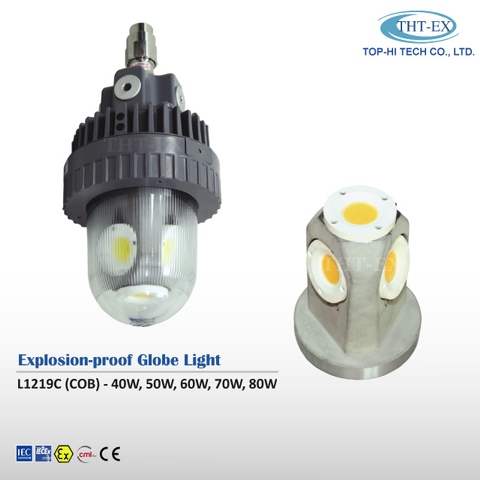 Explosion Proof Globe Light (Ideal for Replacing HPS Lamp)