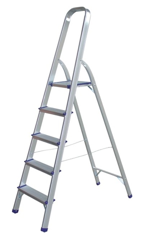 ALUMINUM LADDER