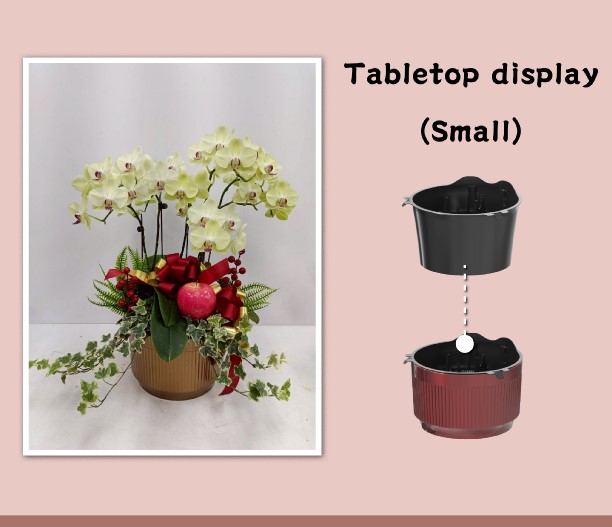 Large F324 quick-assembly floral tray, fits up to 10 orchids, top angle shot for exhibition flower booths