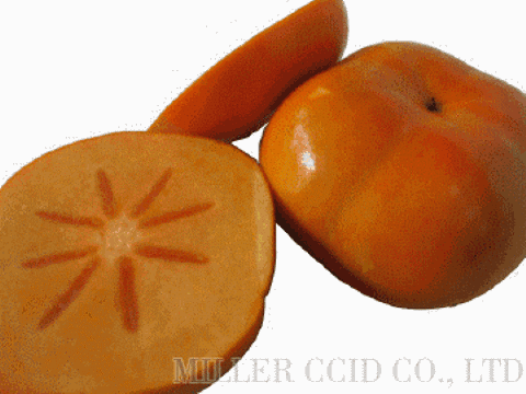 柿子 甜柿 富有柿 次郎柿 摩天岭甜柿 日本甜柿 台湾经贸网