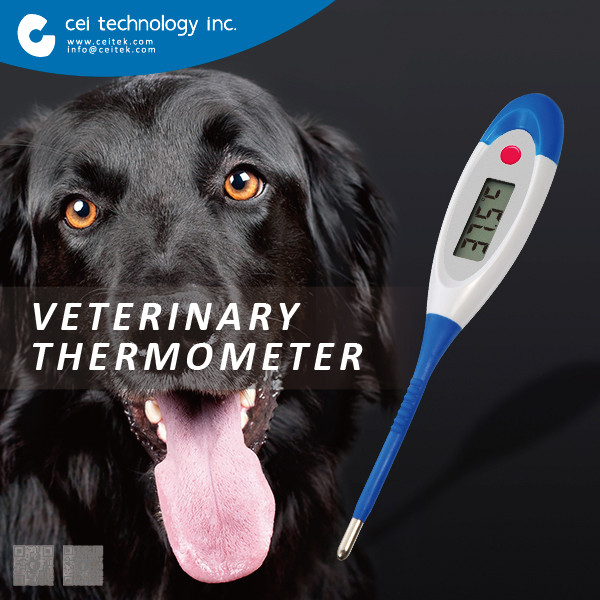 Animal rectal thermometer